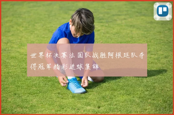 世界杯决赛法国队战胜阿根廷队夺得冠军精彩进球集锦